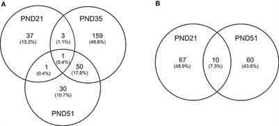 Neonatal Diet Impacts Circulatory miRNA Profile in a Porcine Model